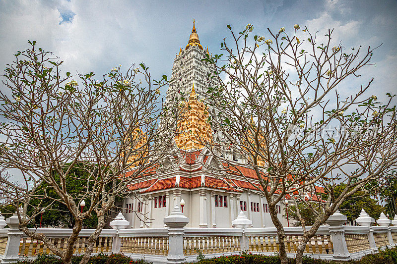 泰国春武里(Chonburi)的佛寺Wat yansangwararam。